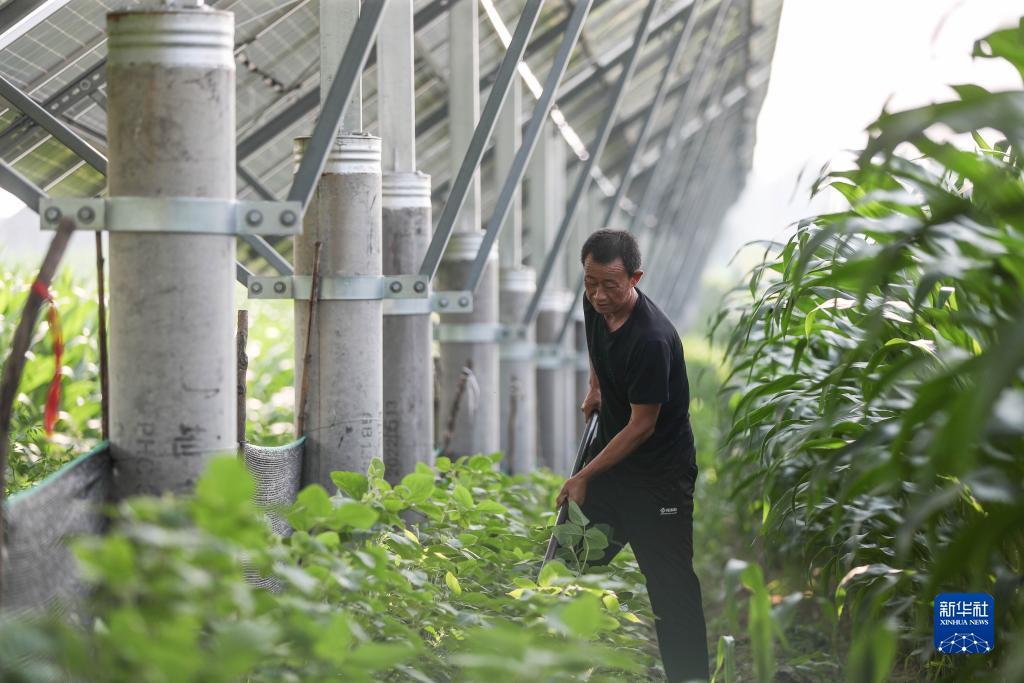 奔驰上线娱乐网址8688